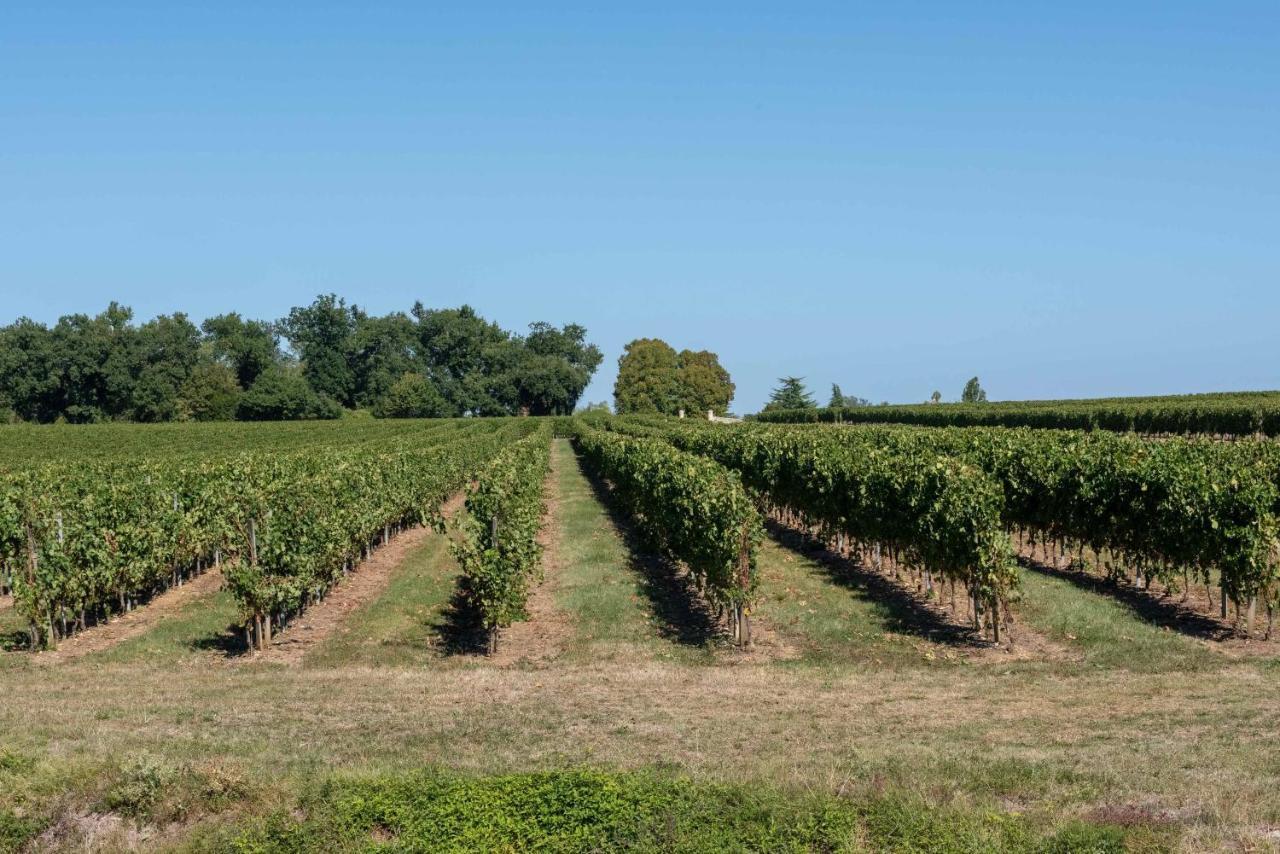 L'Ilot Vignes Rauzan Exterior foto